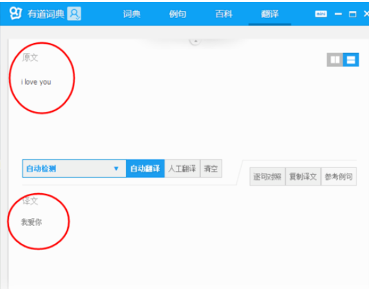 有道词典翻译单词或句子的相关操作方法截图