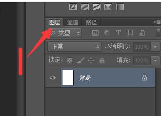 photoshop cs6中使用钢笔工具处理图片的操作方法截图