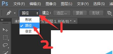 photoshop cs6中使用钢笔工具处理图片的操作方法截图