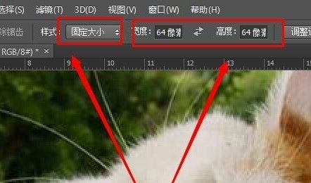 photoshop cs6为图片加框的操作步骤截图