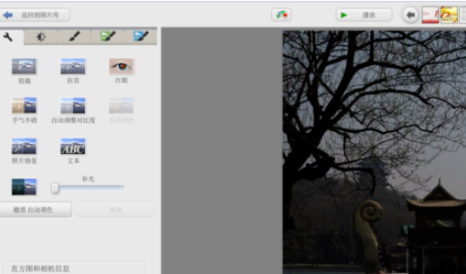 Google Picasa修整照片颜色及亮度的操作过程截图