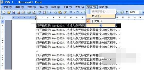 Microsoft Office 2003拆分窗口的相关操作步骤截图