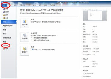 Word 2010插入复选框的简单操作截图