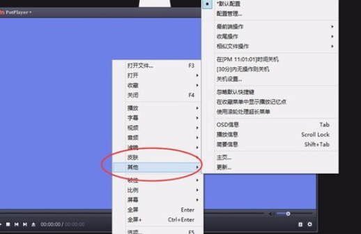 PotPlayer设置为最前端播放的操作教程截图