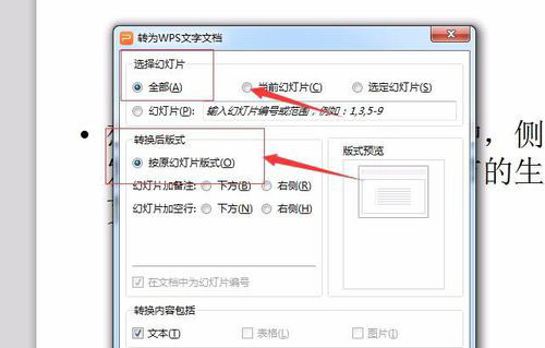 PowerPoint Viewer转成word文件的详细操作教程截图