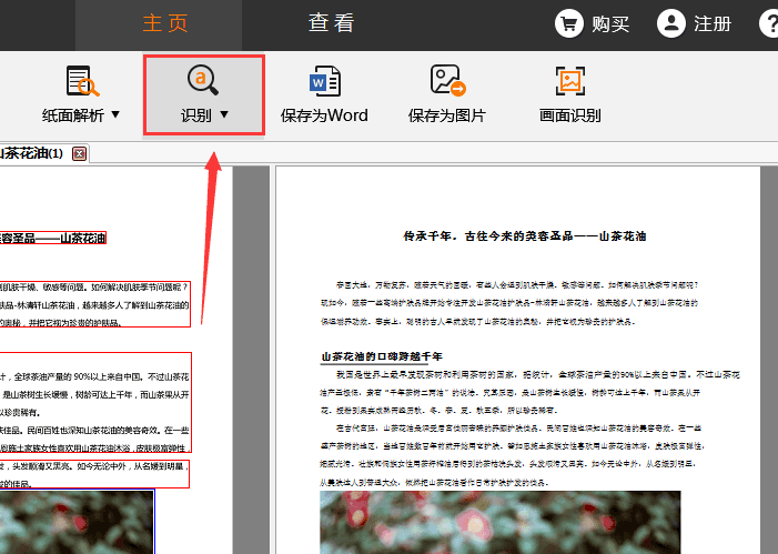 捷速OCR文字识别软件提取PDF图片文字的方法步骤截图