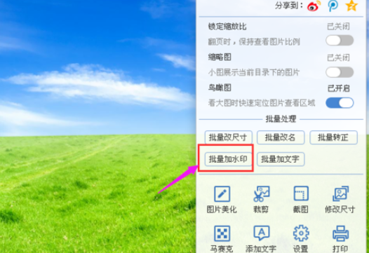 2345看图王对图片批量加水印的操作教程截图