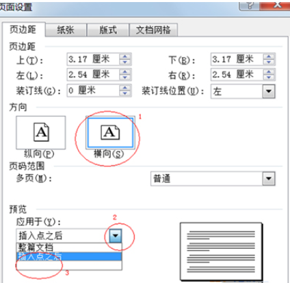 Word 2010将任意页调整为横向页的具体过程截图