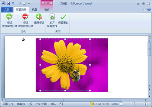 word2010去除图片背景的使用方法截图