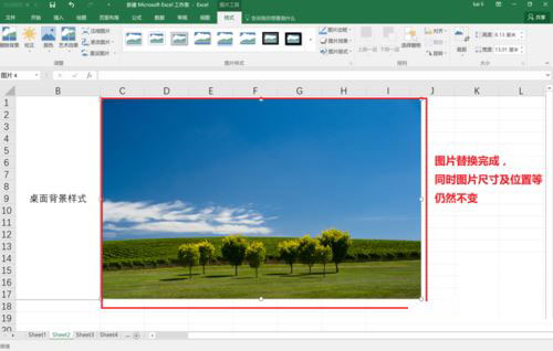 excel2016替换图片的操作步骤截图