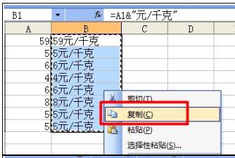 excel2007批量添加前缀或后缀的详细教程截图