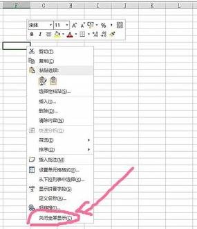 excel2007设置全屏显示的操作教程截图