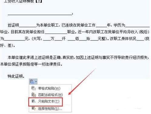 word2010将复制网页的灰色阴影去掉的详细步骤截图