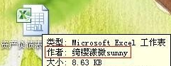 excel2016添加作者的简单步骤截图