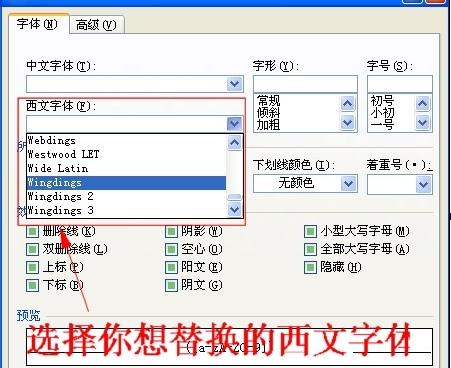 word2010修改所有字母和数字格式的操作步骤截图