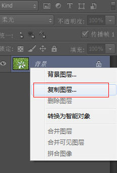 photoshop cs6为草地做出亮丽颜色的操作步骤截图