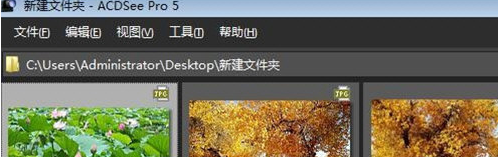 ACDSee快速浏览图片文件夹的简单操作方法截图