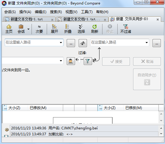 Beyond Compare文件夹进行同步的操作方法截图