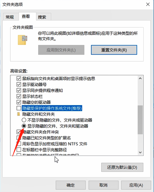 电脑中显示隐藏文件的方法教程截图