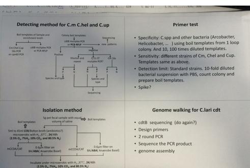 PowerPoint 2013打印占满整张纸的设置方法截图