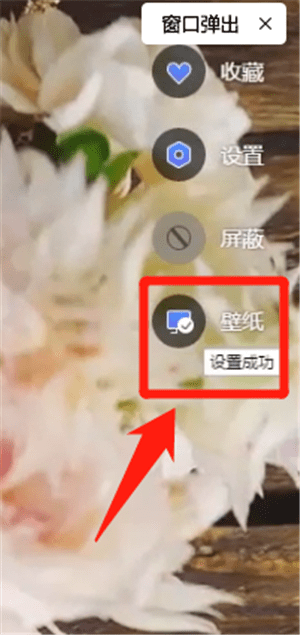 Wps画报设置壁纸的具体使用方法截图