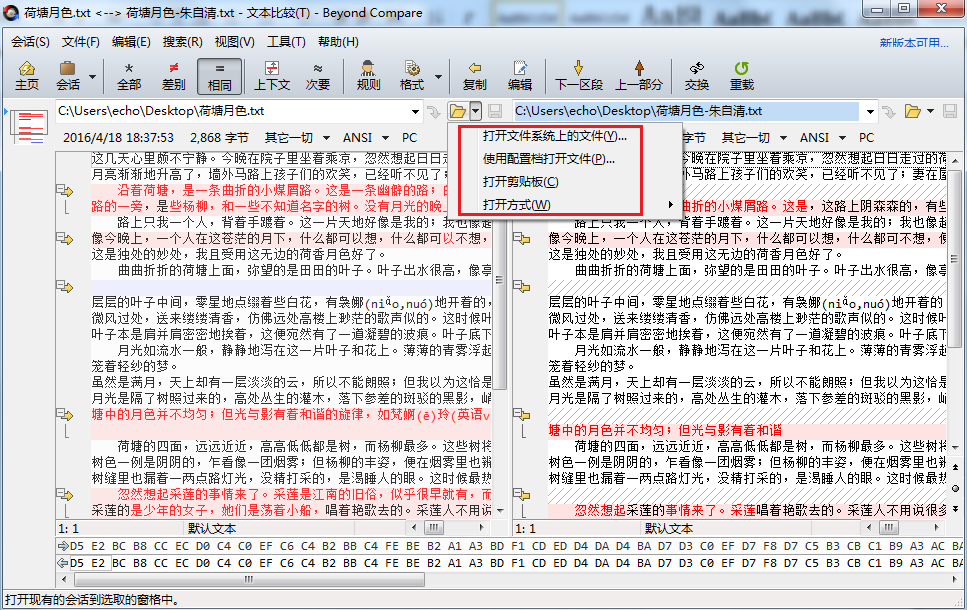 Beyond Compare基础术语的操作步骤截图