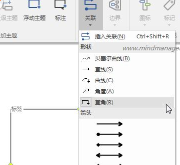 mindmanager设计流程图的具体方法截图