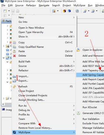 MyEclipse设置Spring支持的过程介绍截图