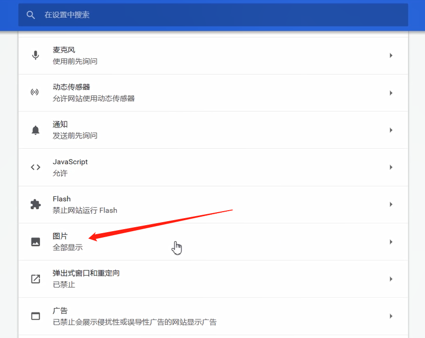 谷歌浏览器图片不显示的解决方法截图