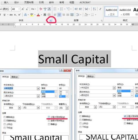 word设置小型大写字母small capitals的操作方法截图