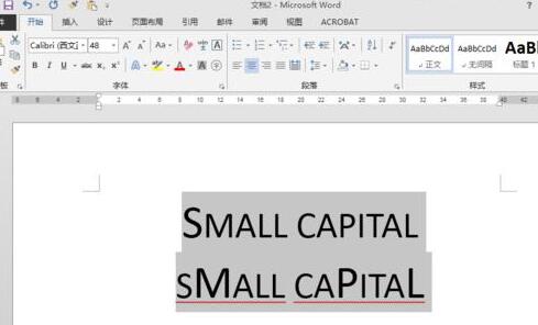 word设置小型大写字母small capitals的操作方法截图