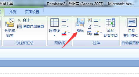 access数据库修改报表微标的操作方法截图