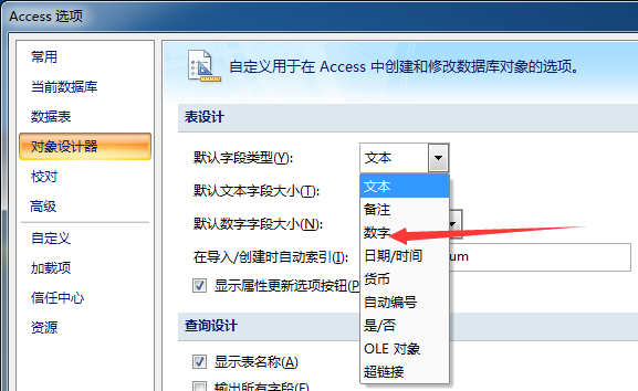 access对象设计器默认字段类型设置方法截图