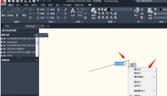 AutoCAD2020制作直线的操作过程方法截图