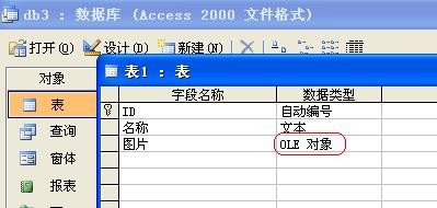 access中将图片导入数据库进行保存的操作方法截图