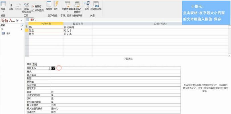 access设置字段大小的操作教程截图