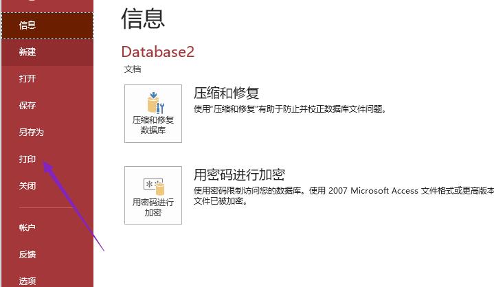 access数据库报表设置四页打印的操作方法截图