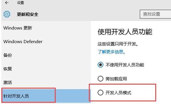 WIN10开发者模式的开启教学截图