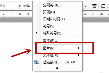 word2003插入图片并调整的详细方法截图