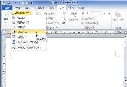 word2010文档里设置标签选项的操作方法截图