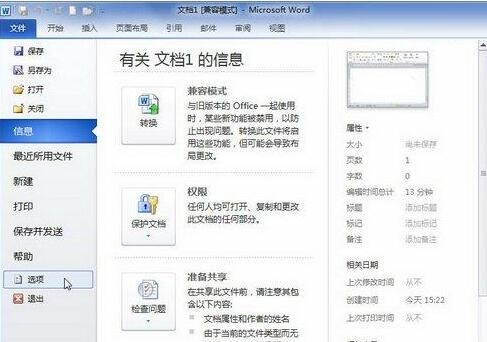 word2010文档中显示所有格式标记的教程步骤截图