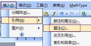 MathType公式后Equation进行隐藏的教程方法截图