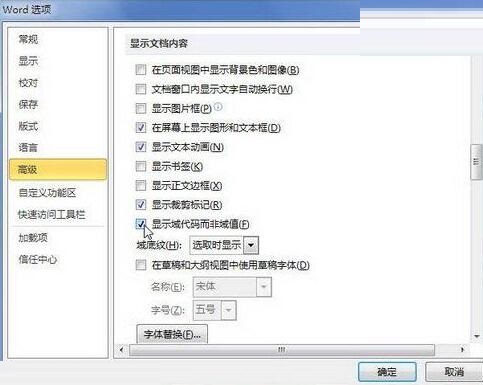 word2010文档中显示域代码而非域值的操作过程截图