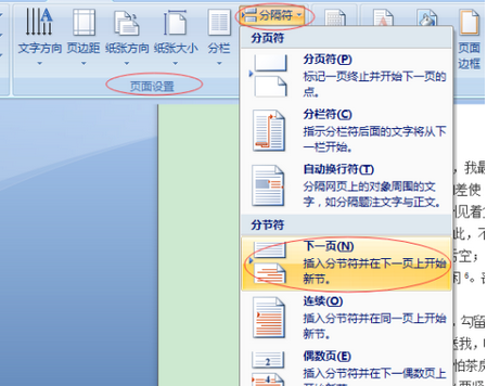 word文档中加入分页符具体方法截图