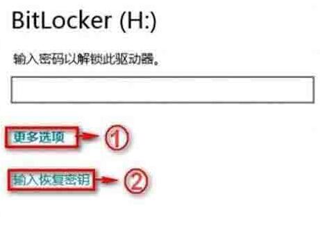 WIN8系统bitlocker密码忘记的处理方法截图