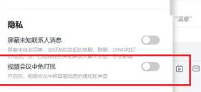 钉钉设置视频会议免打扰的操作过程截图