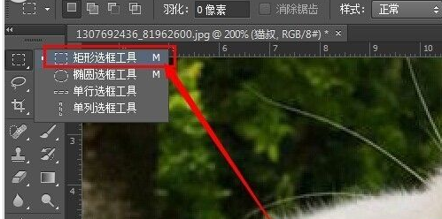 ps cs6给图片加框的简单教程分享截图