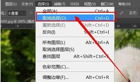 ps cs6给图片加框的简单教程分享截图