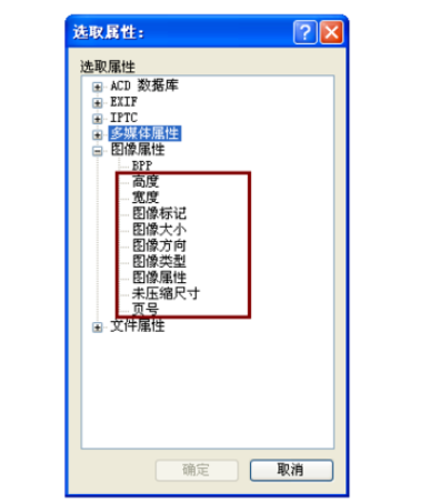 acdsee添加更多排序选项的具体步骤讲解截图