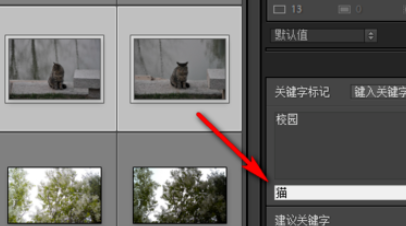 Lightroom给照片加上关键字的操作方法截图